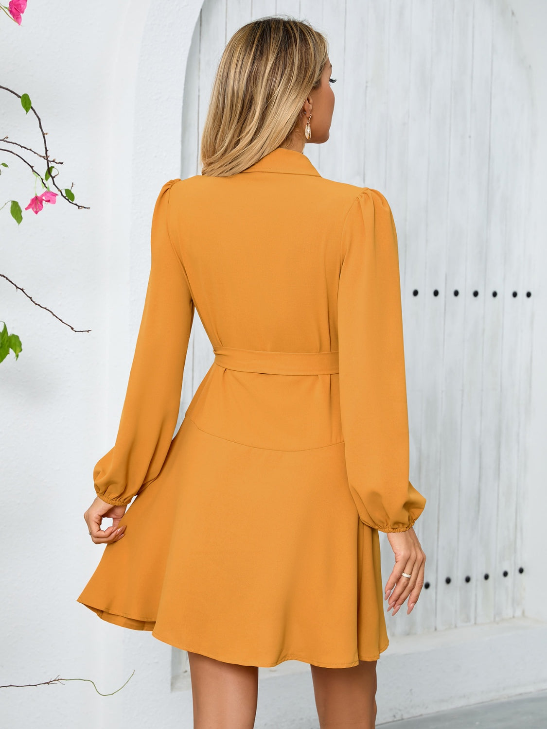 Surplice Tie Waist Long Sleeve Mini Dress